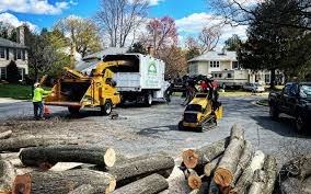 Best Tree Preservation Services  in West Babylon, NY